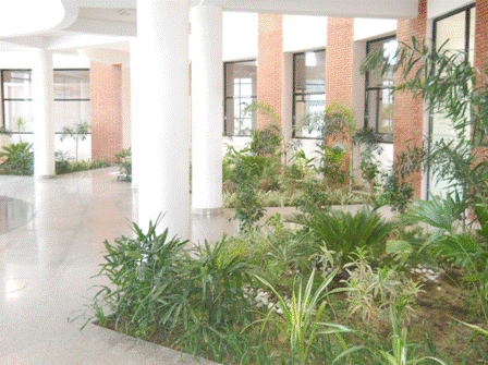 Therachem Research Medilab Building Lobby